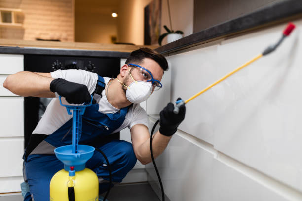 Best Pest Control Near Me  in Dalworthington Gardens, TX