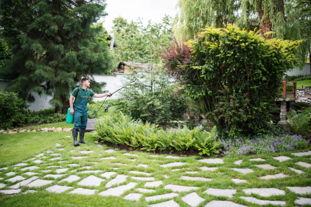 Best Wildlife Control Services  in Dalworthington Gardens, TX