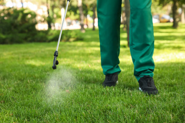 Best Local Pest Control Services  in Dalworthington Gardens, TX