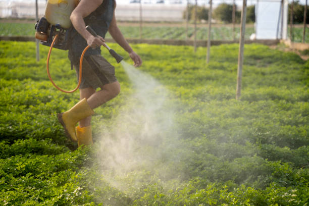 Best Residential Pest Control  in Dalworthington Gardens, TX
