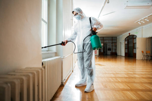 Best Best Pest Control Companies  in Dalworthington Gardens, TX