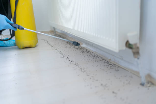 Best Commercial Pest Control Services  in Dalworthington Gardens, TX