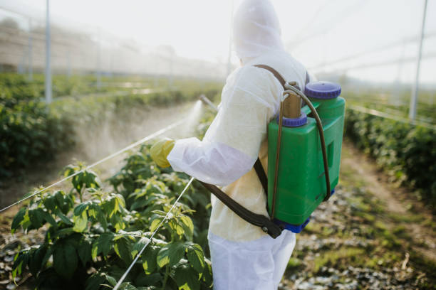 Best Exterminator Services  in Dalworthington Gardens, TX